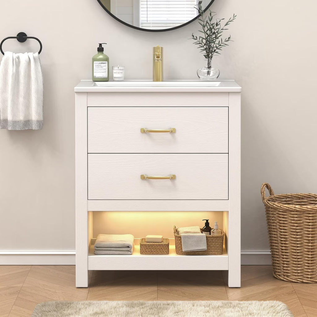 EVOKEDEN 24” Bathroom Vanity with Sink, Modern Bathroom Cabinet Set with LED Light for Small Space, 2 Soft-Close Drawers with Organizer, White